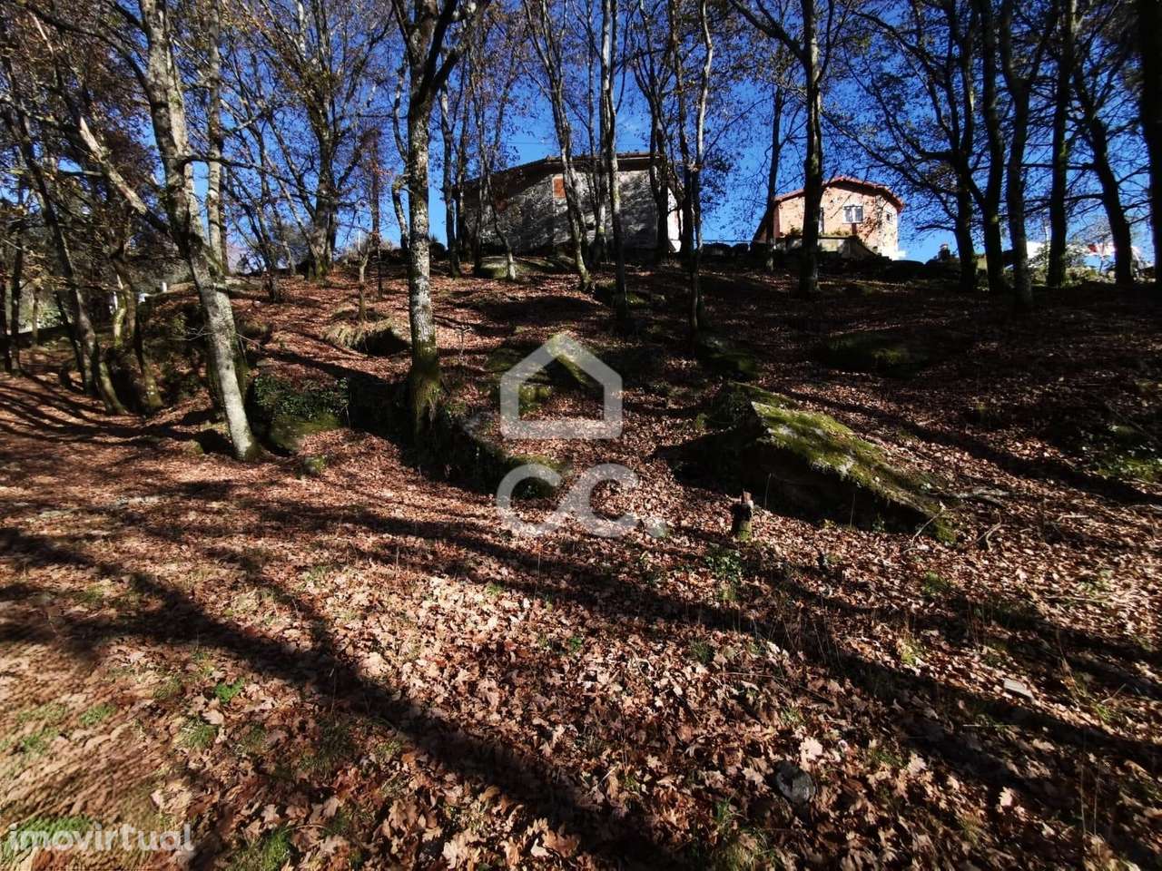 Quinta à venda em Rossas, Vieira do Minho - Grande imagem: 5/47