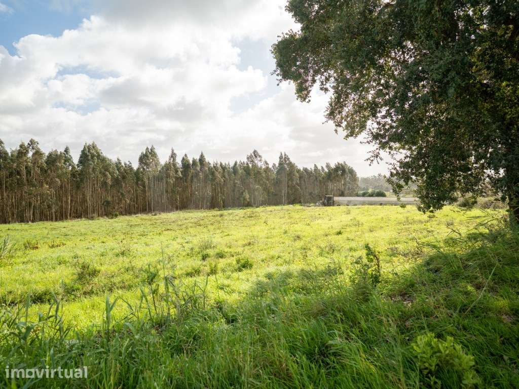 Terreno para construção, para venda, Caldas da Rainha - Grande imagem: 3/10