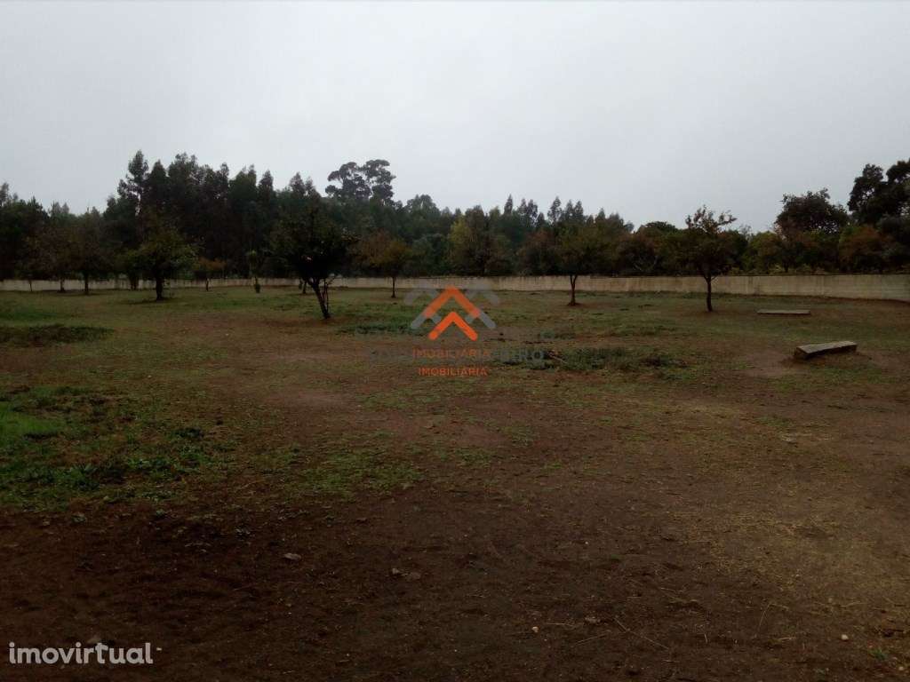 Terreno em Recardães - Grande imagem: 5/7