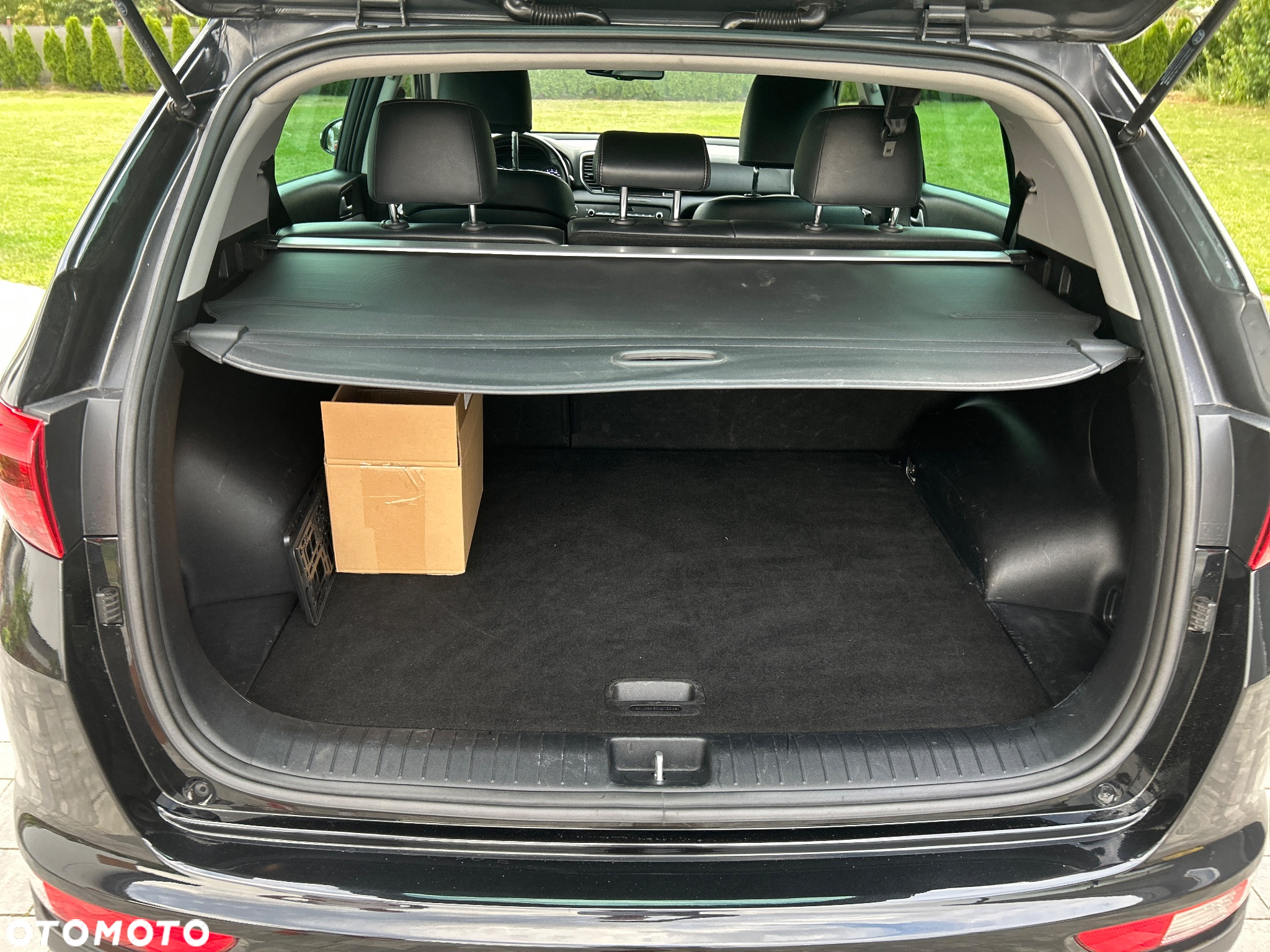 Kia Sportage 1.6 T-GDI Business Line 4WD DCT - 16