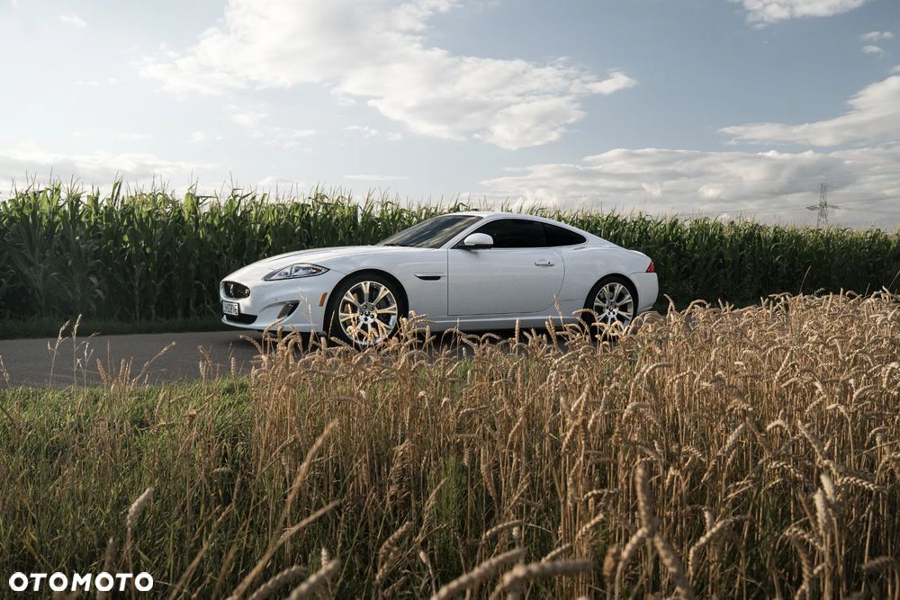 Jaguar XK XKR - 2