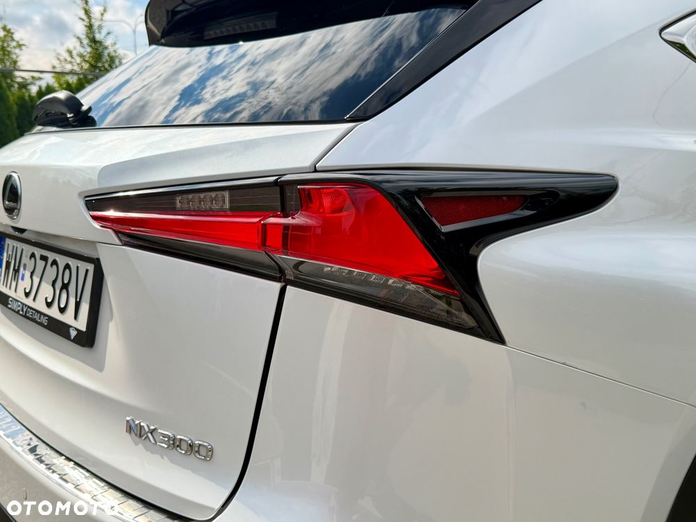 Lexus NX 300 F Sport AWD - 19