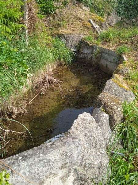 Terrenos rustico - Grande imagem: 4/4