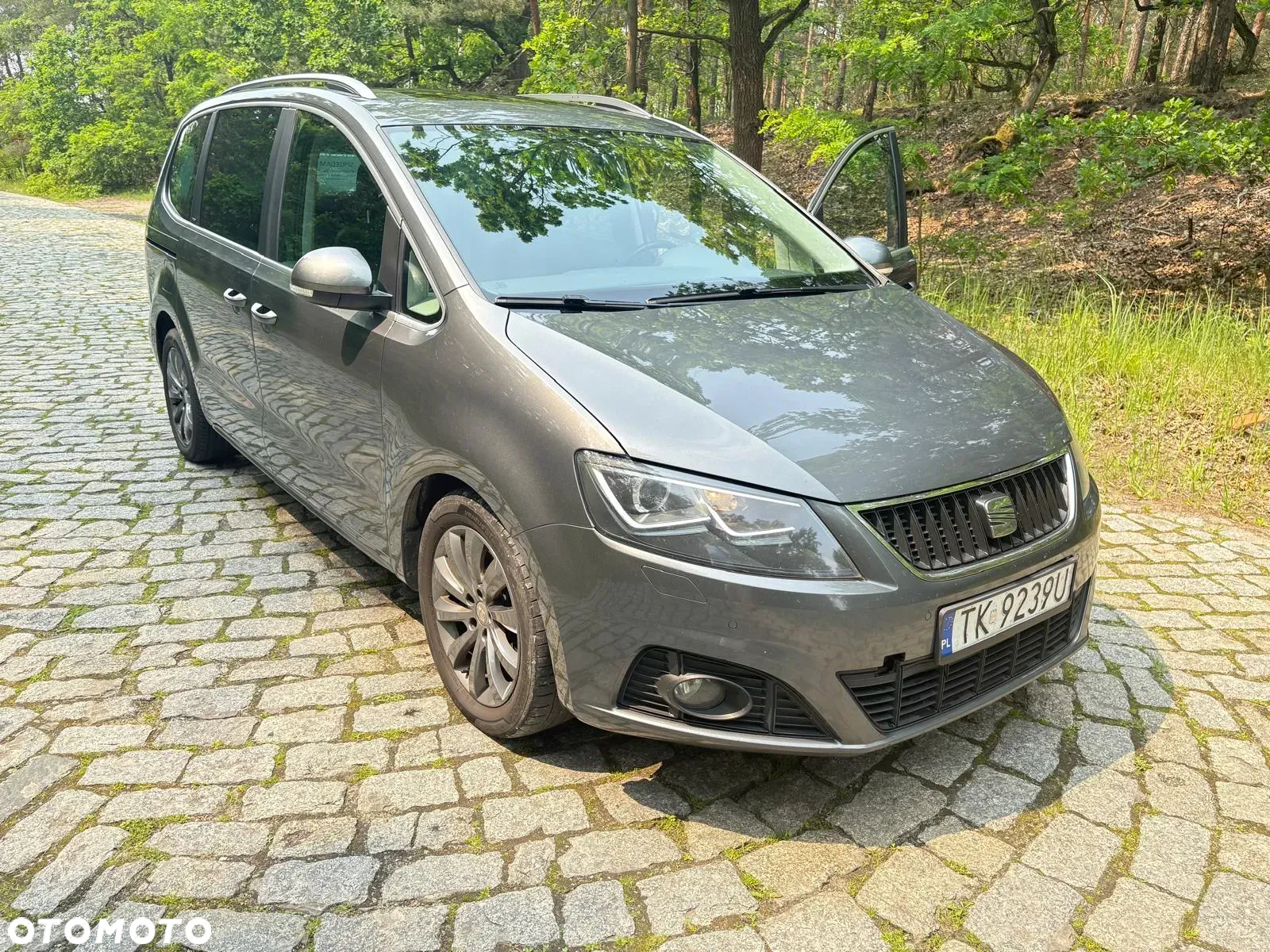 Seat Alhambra 2.0 TDI Xcellence DSG - 4