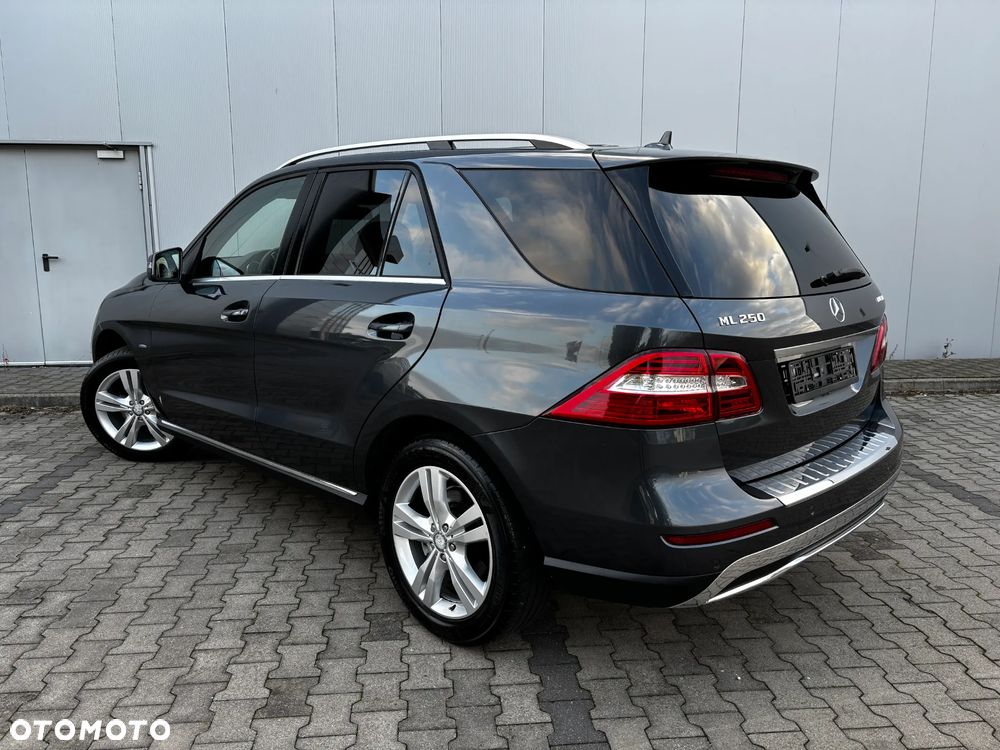 Mercedes-Benz ML 250 BlueTEC 4MATIC 7G-TRONIC - 6