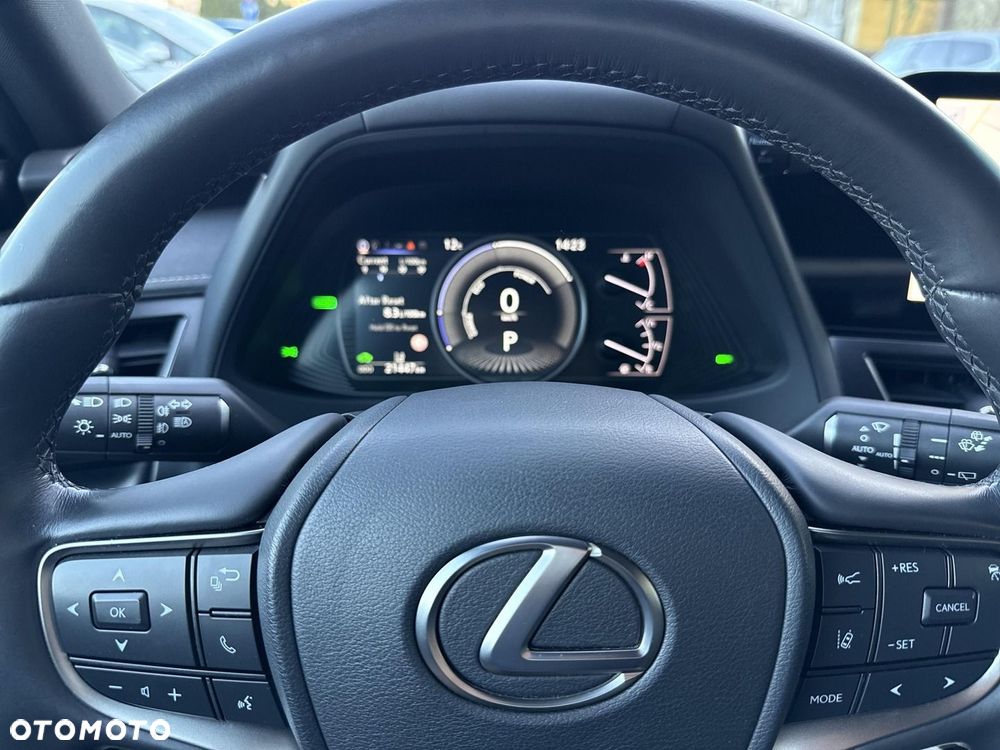 Lexus UX 250h GPF F Sport Design 2WD - 16