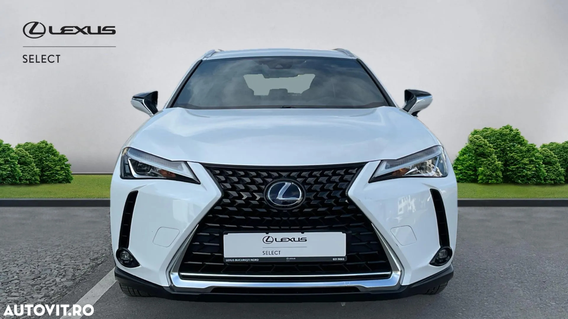Lexus UX 250h Business Edition - 5