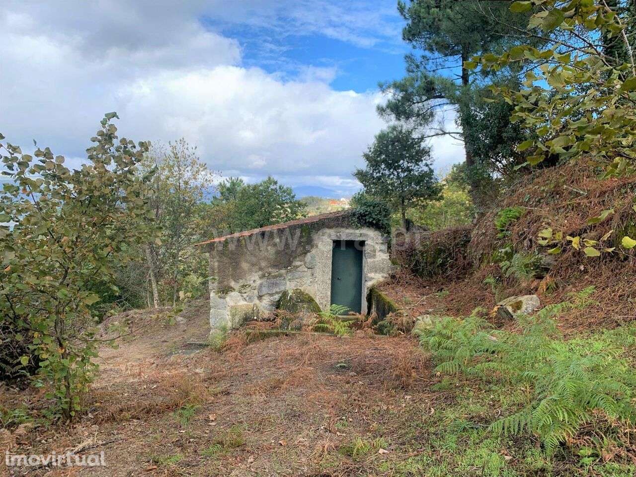 Terreno / Resende, Anreade e São Romão de Aregos - Grande imagem: 5/10