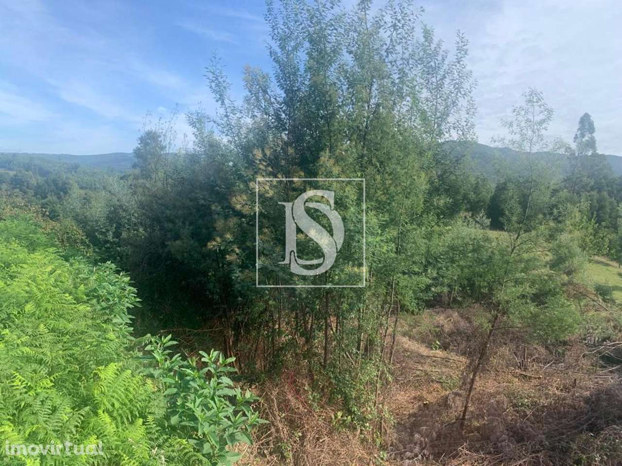 Terreno  Venda em Estorãos,Ponte de Lima - Grande imagem: 5/14