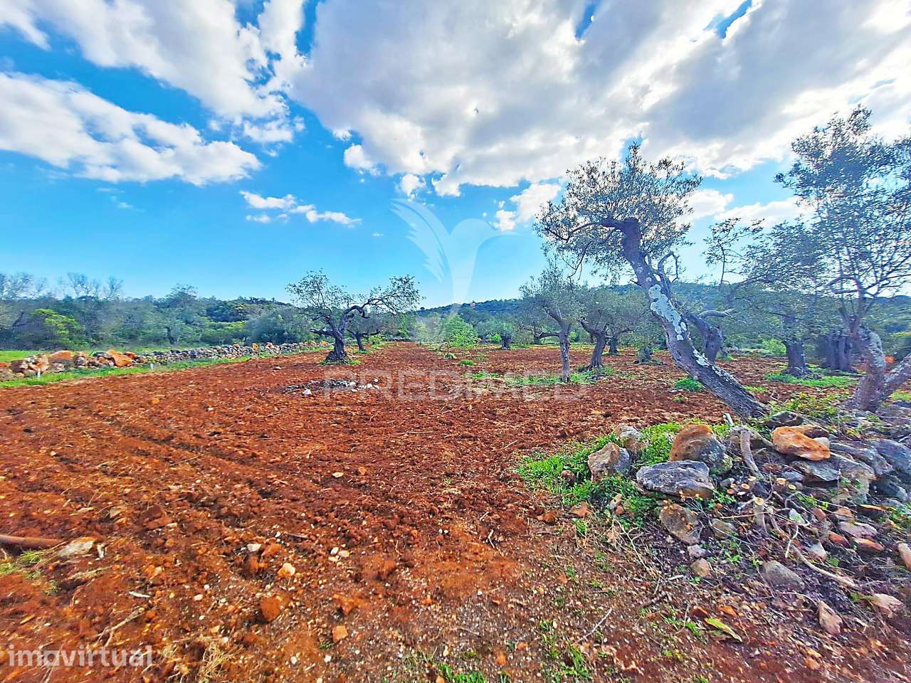 Terreno Rustico em Loulé com acesso directo - Grande imagem: 3/12