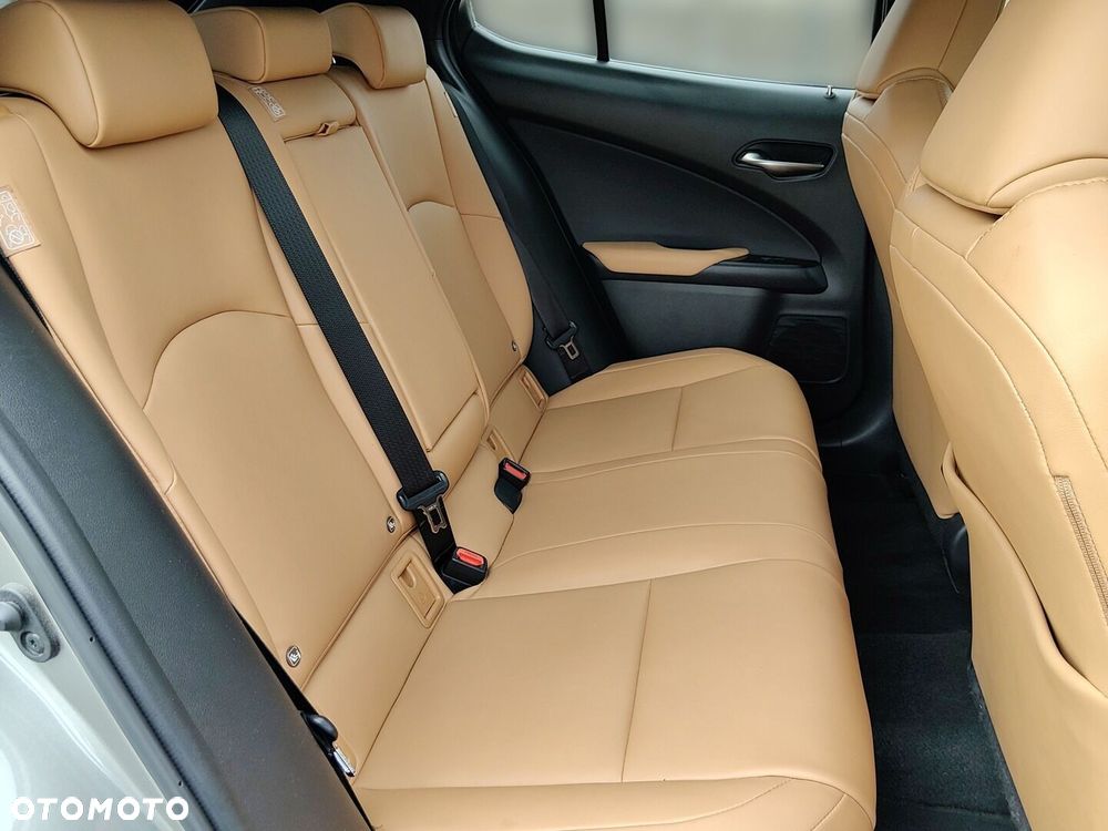 Lexus UX 250h GPF F Sport Design 2WD - 12