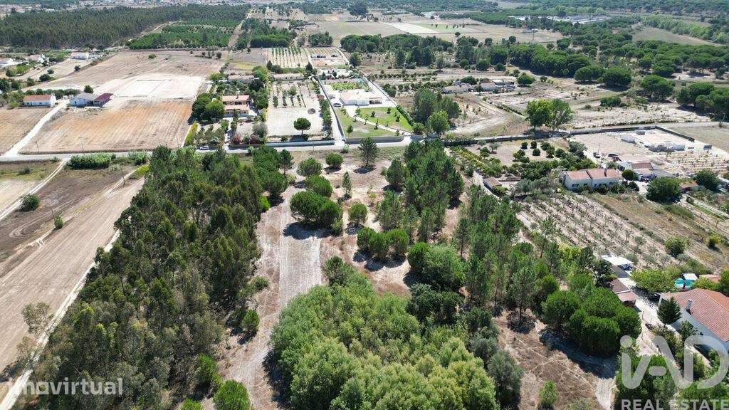 Terreno para construção em Benavente de 16390,00 m2 - Grande imagem: 4/25