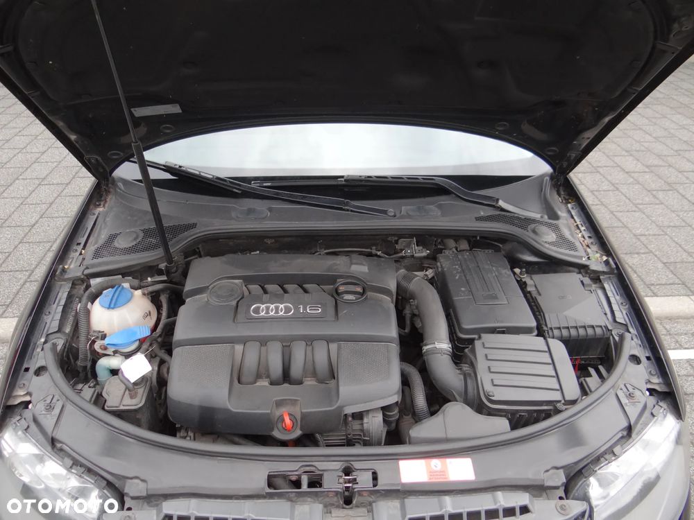 Audi A3 Sportback 1.6 Limited Edition - 20