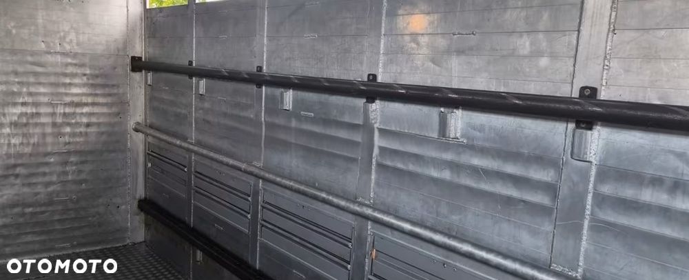 DAF CF 400 Menke Einstock | Transport zwierząt jednopoziomowy  | 2 kratownice do bydła| Retarder | Euro 6 - 13