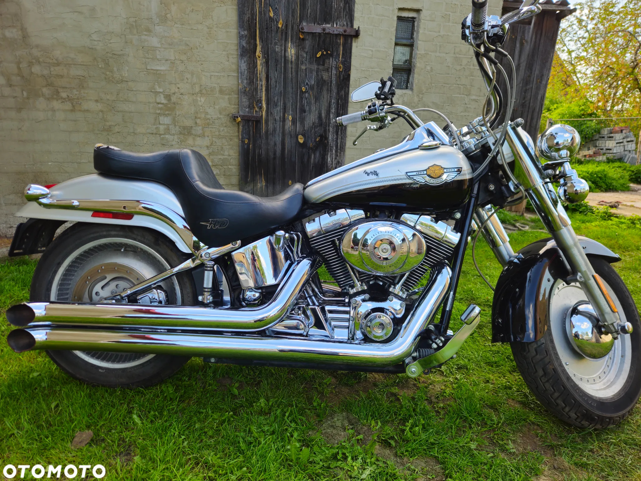 Harley-Davidson FLH Shovelhead - 6