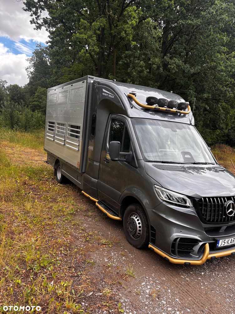 Mercedes-Benz Sprinter - 3