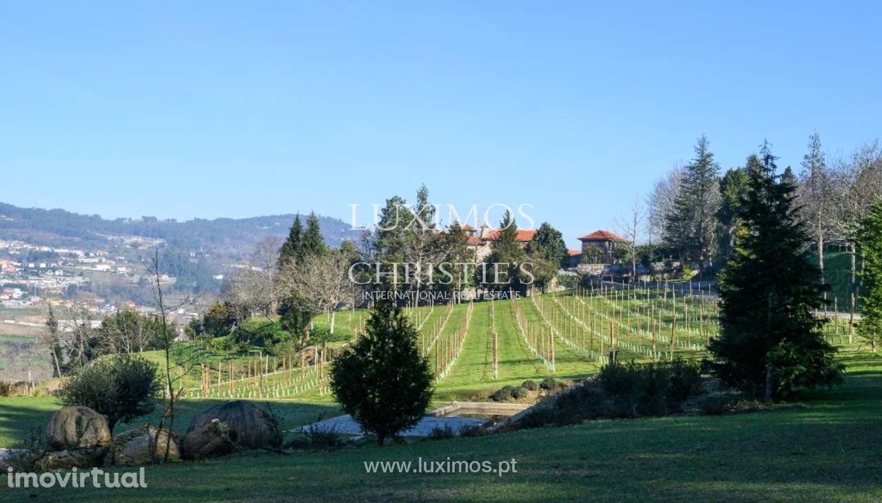 Quinta Vinícola V7 para venda em Felgueiras, Norte de Portugal - Grande imagem: 5/43