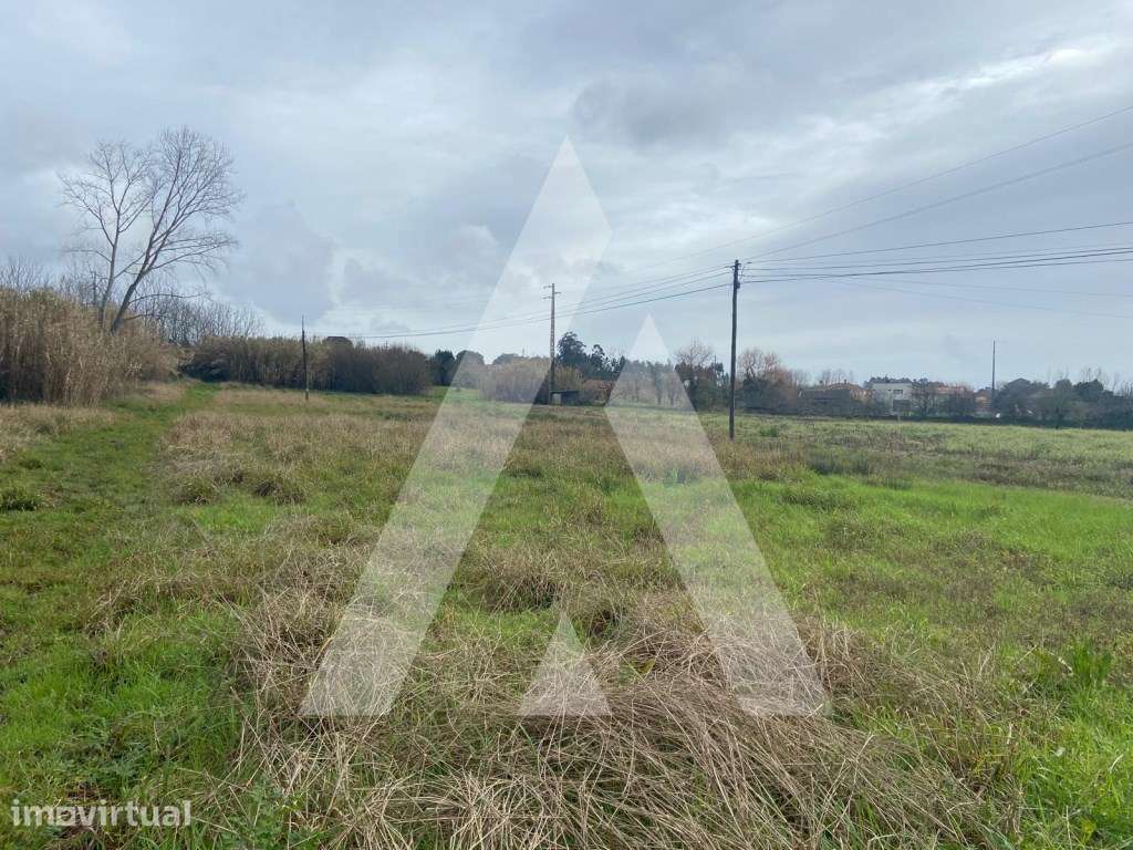 terreno na Amoreira da Gândara em Anadia - Grande imagem: 2/6