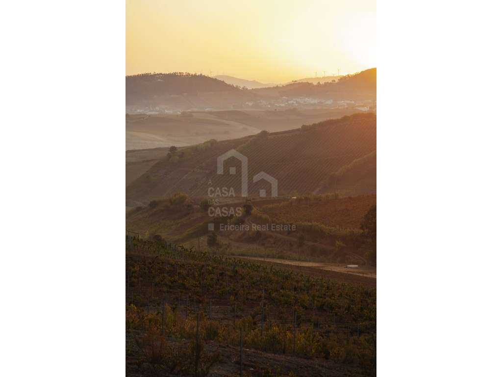 Vende Moradia T3 - Ericeira 16 km, A Casa das Casas - Grande imagem: 5/19