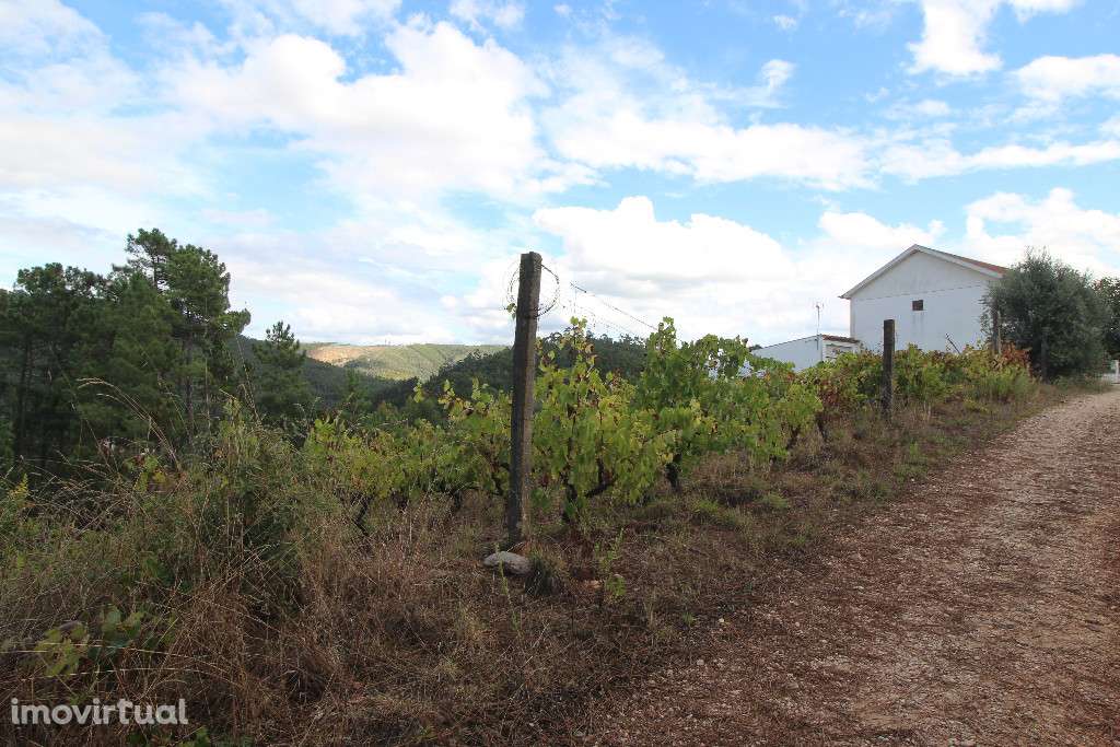 Terreno para Construção, Almalaguês, Coimbra - Grande imagem: 4/4