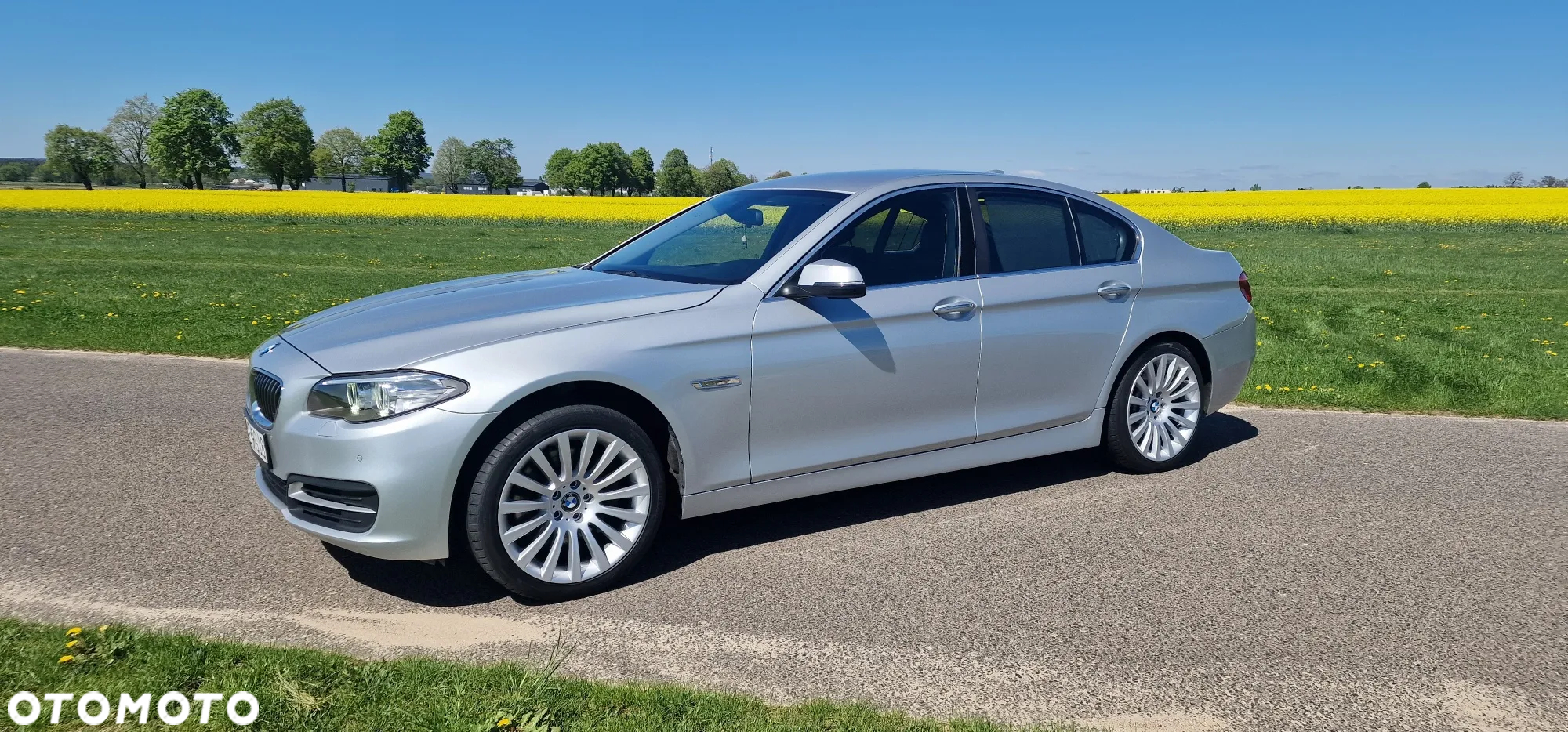 BMW Seria 5 525d - 3