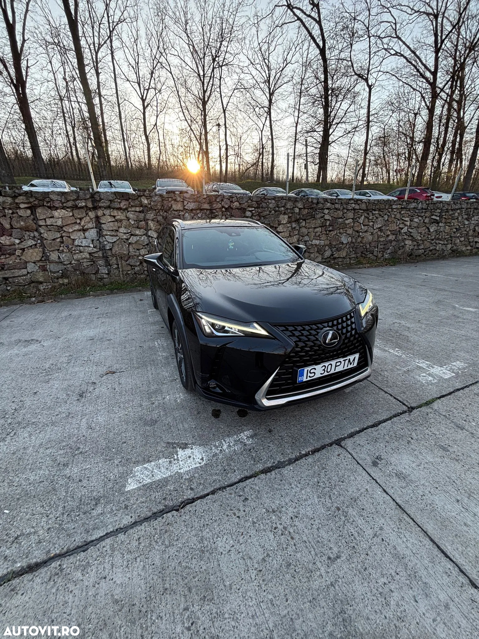 Lexus UX 250h - 14