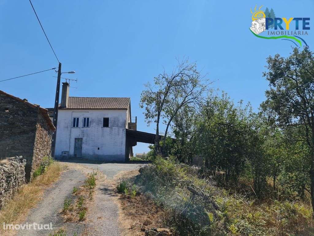 Quintinha com moradia T3 para recuperar, a 10 minutos da vila da Sertã - Grande imagem: 2/38