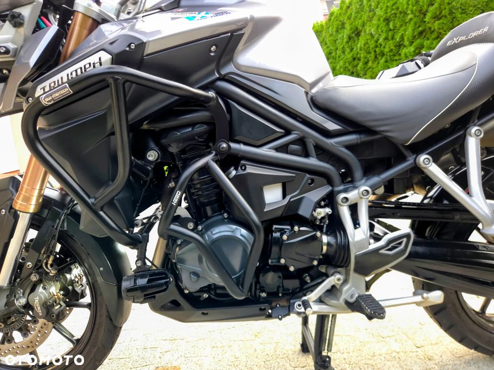 Triumph Tiger - 11