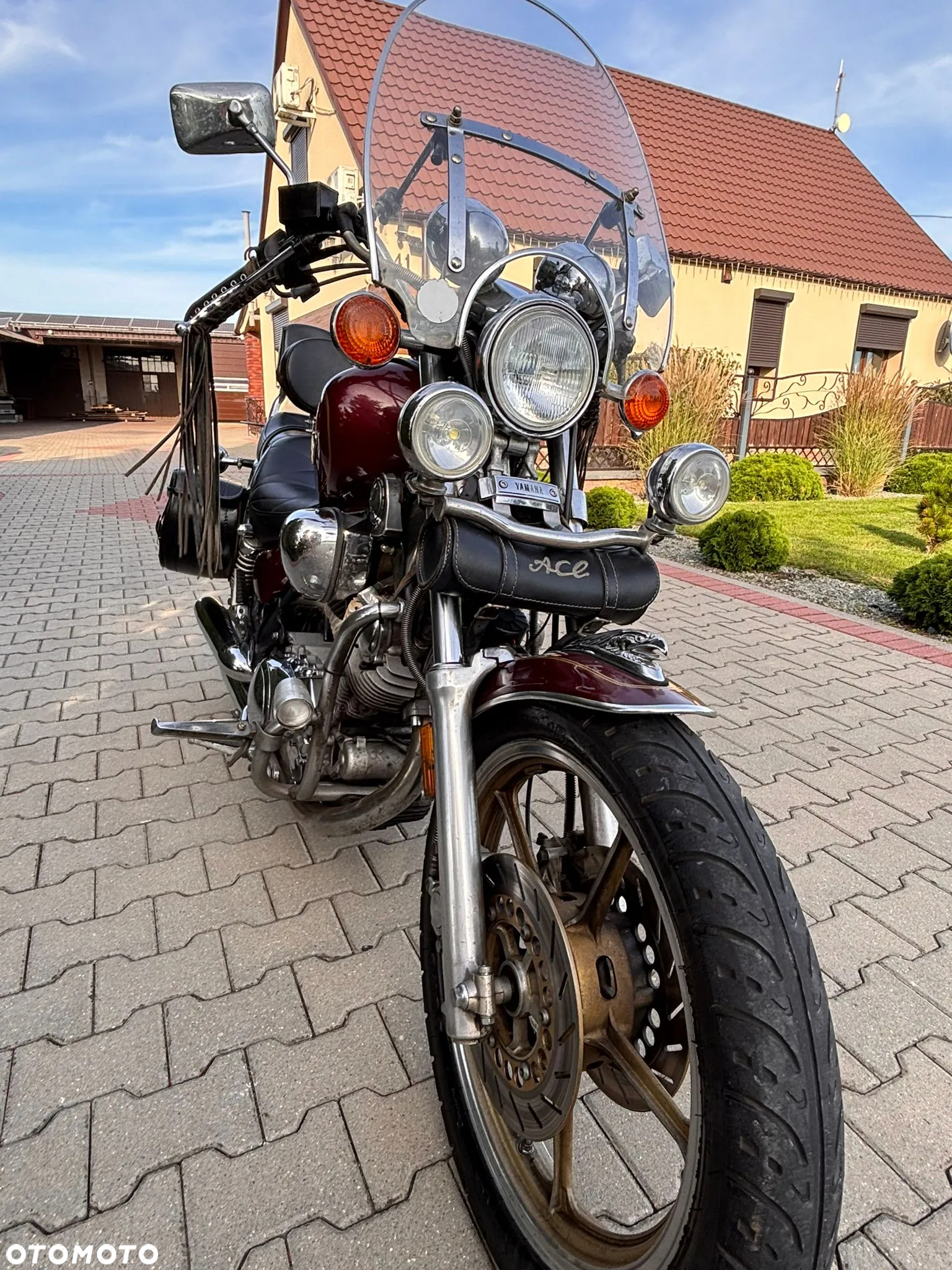Yamaha Virago - 5