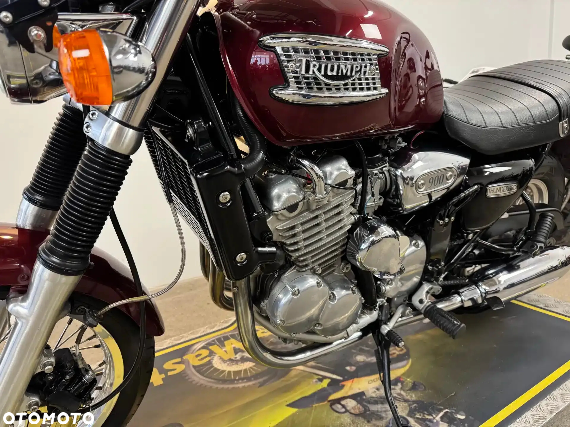 Triumph Thunderbird - 19