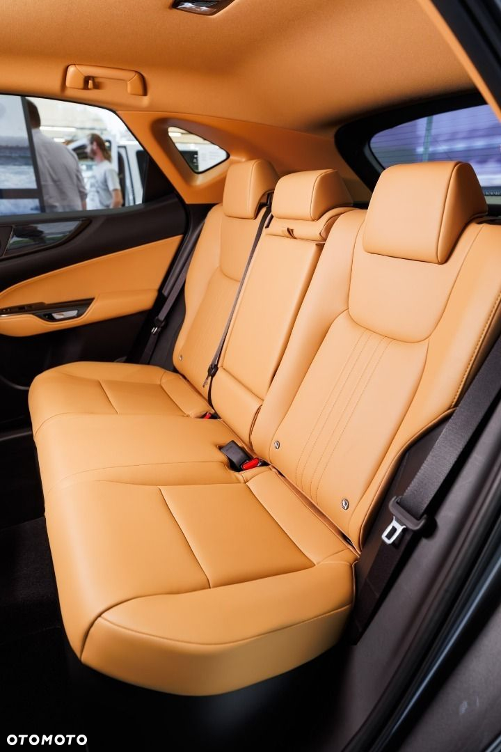 Lexus NX - 14