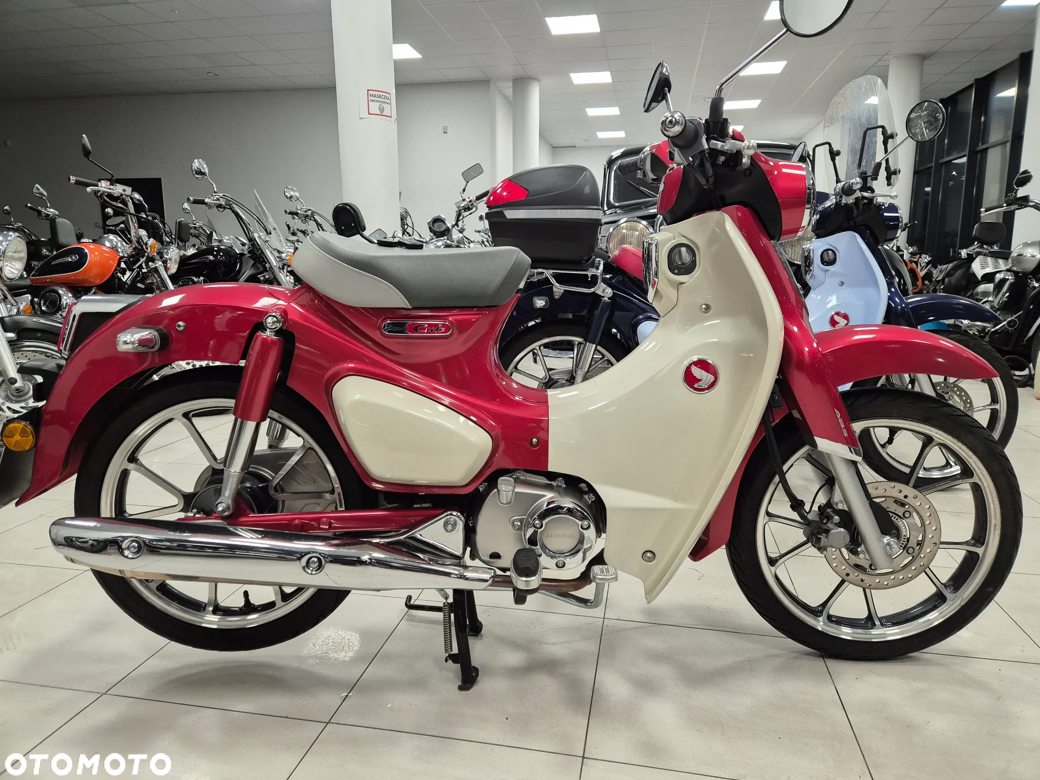 Suzuki Intruder - 19