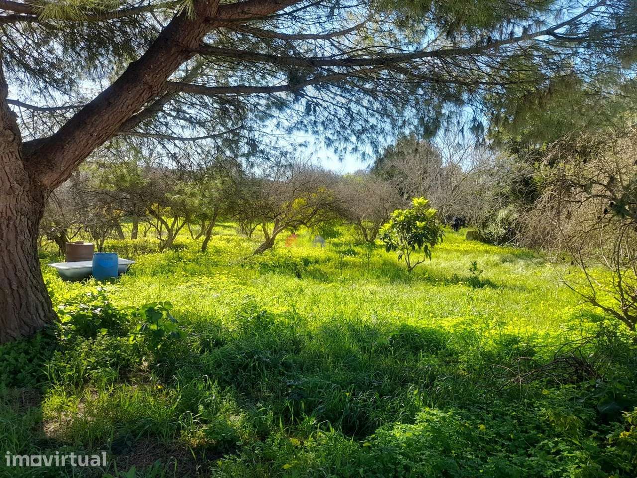 Terreno à Venda em Pedrogão - Oportunidade Única! - Grande imagem: 3/11