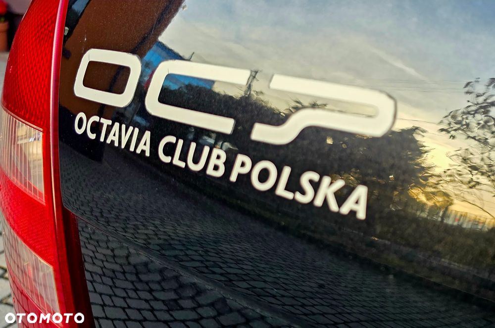 Skoda Octavia - 8