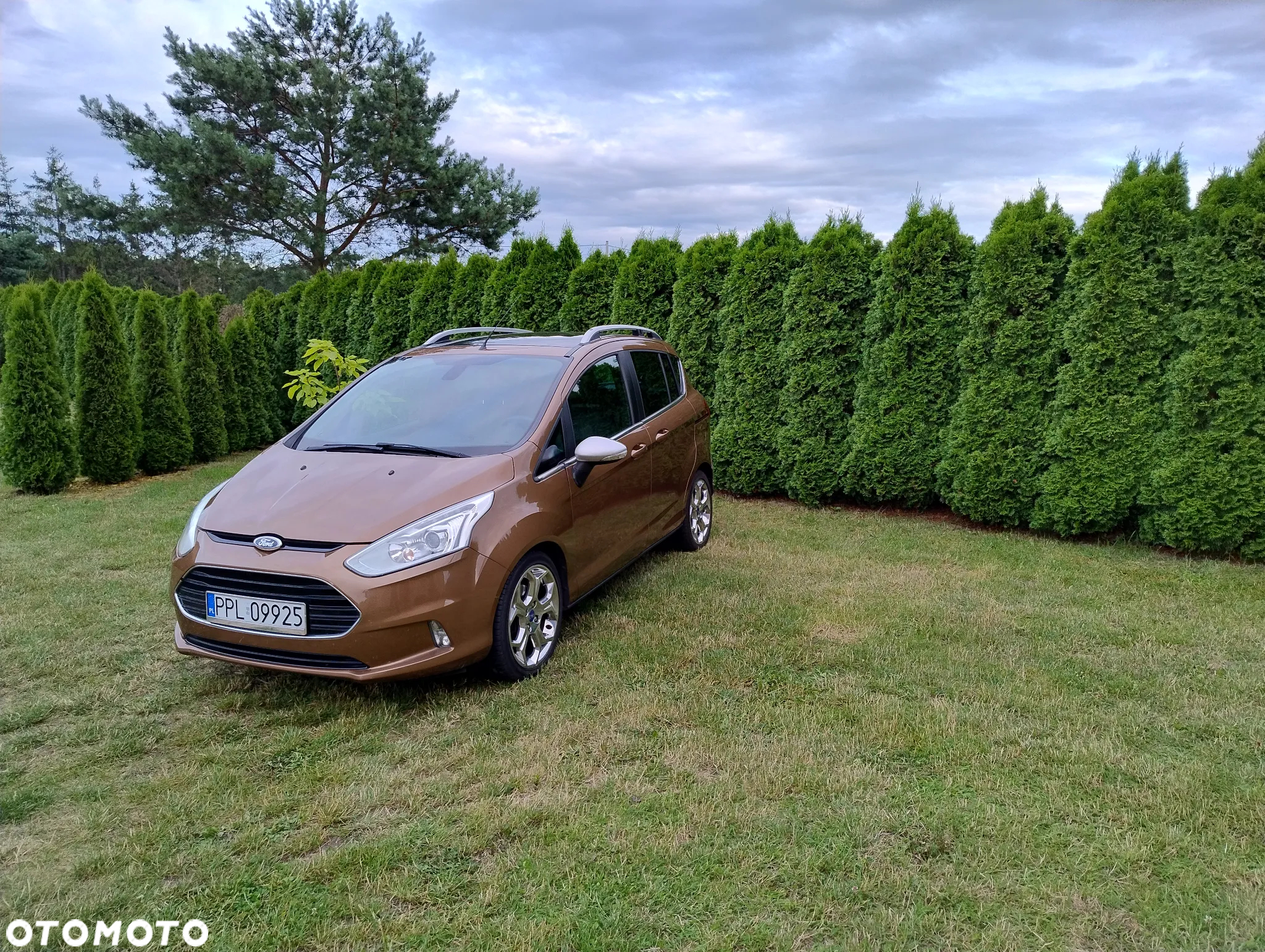 Ford B-MAX 1.6 TDCi Titanium - 2