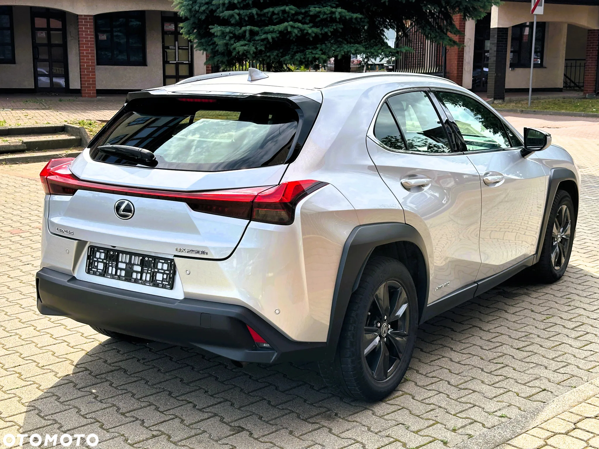 Lexus UX 250h GPF Business Edition 2WD - 7