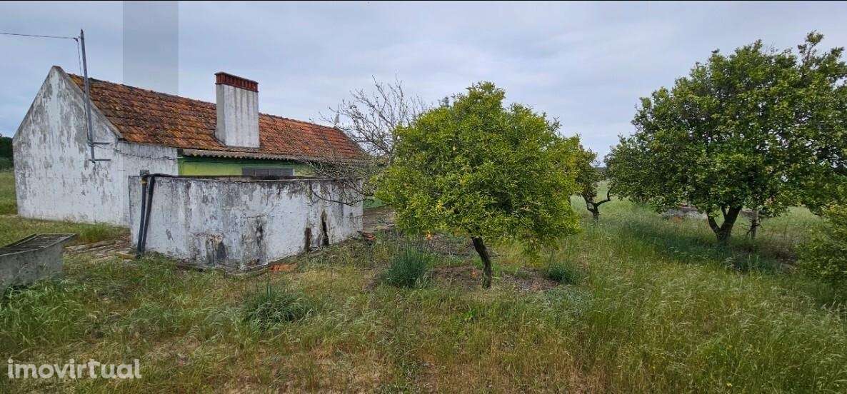 Quinta para Reconstrução a 25 Min das Praias da Comporta - Grande imagem: 2/21