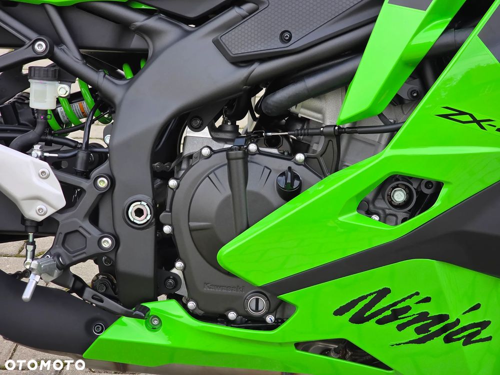 Kawasaki Ninja - 10