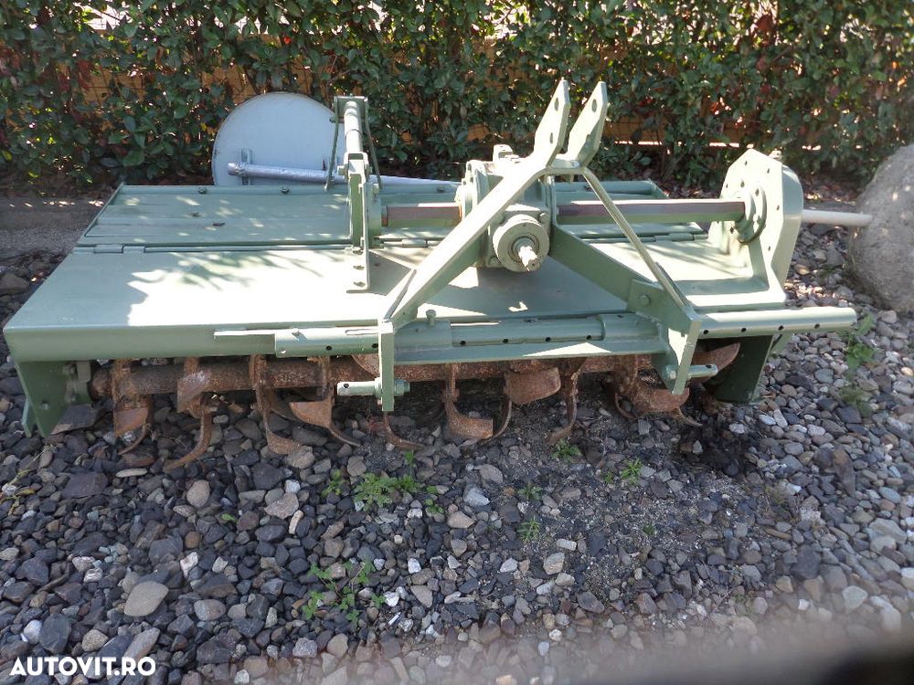 Maschio - 4