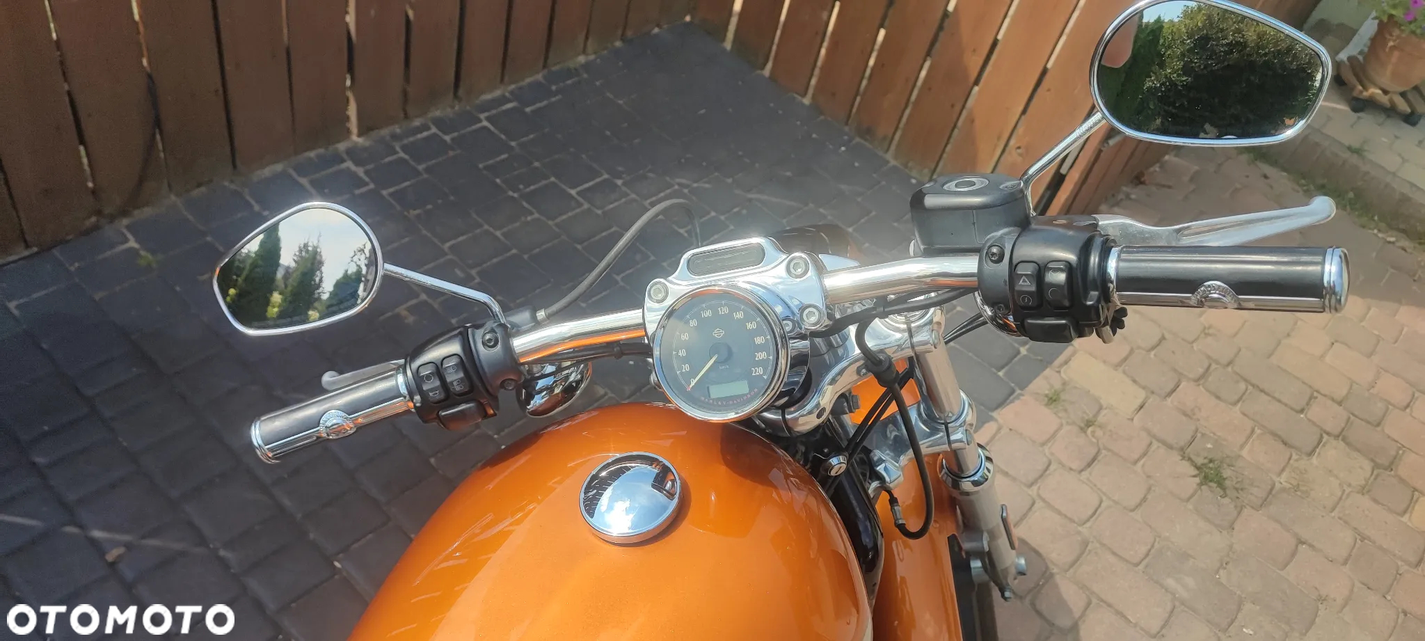 Harley-Davidson Sportster Custom 1200C - 13
