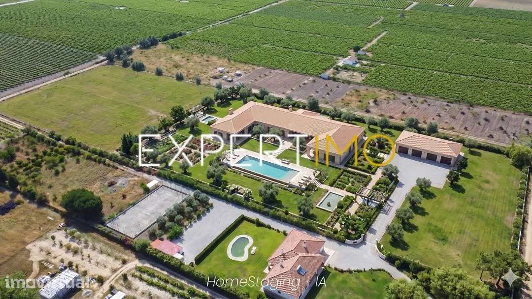 Terreno Rústico de 28.500 m² com vinha e potencial de construção - Grande imagem: 2/8