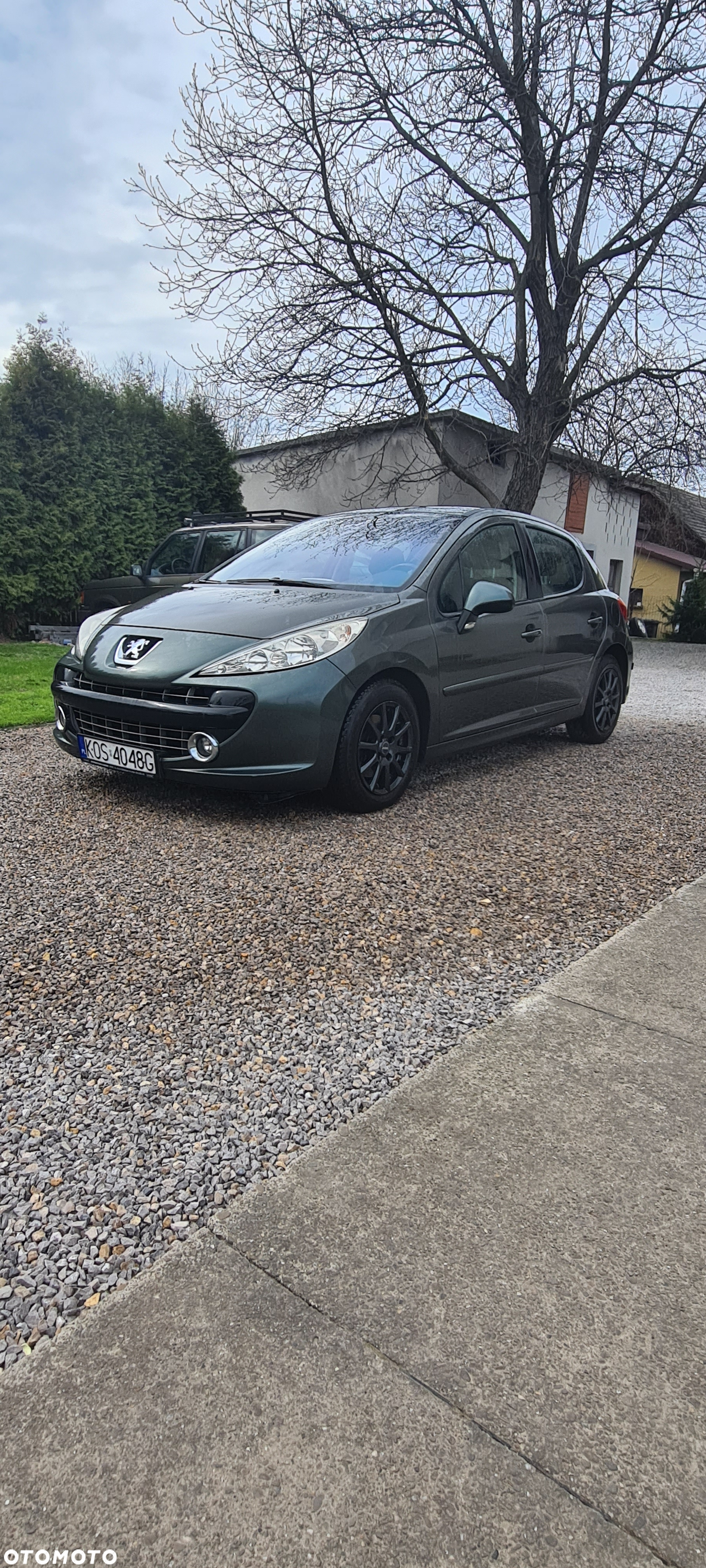 Peugeot 207 - 7