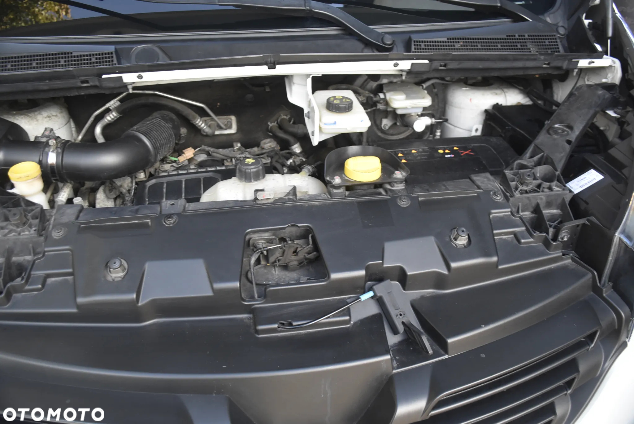 Renault Trafic - 15