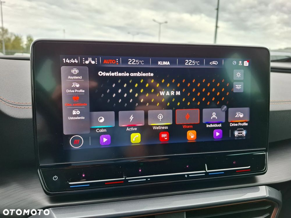 Cupra Formentor 1.5 TSI DSG - 28