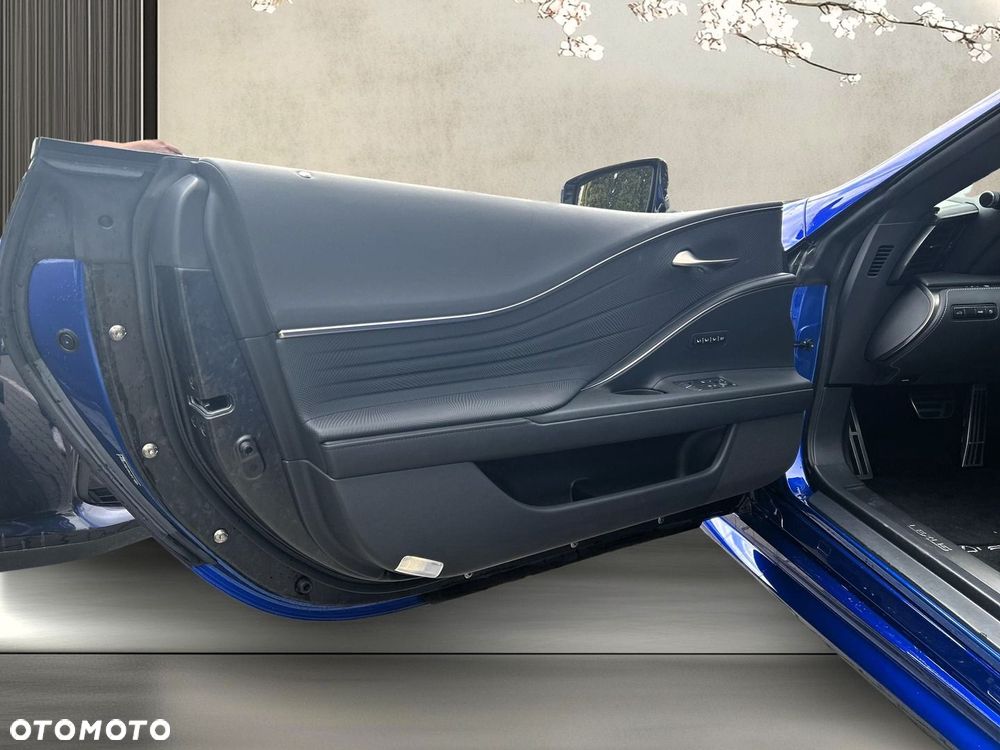 Lexus LC 500 Superturismo - 20