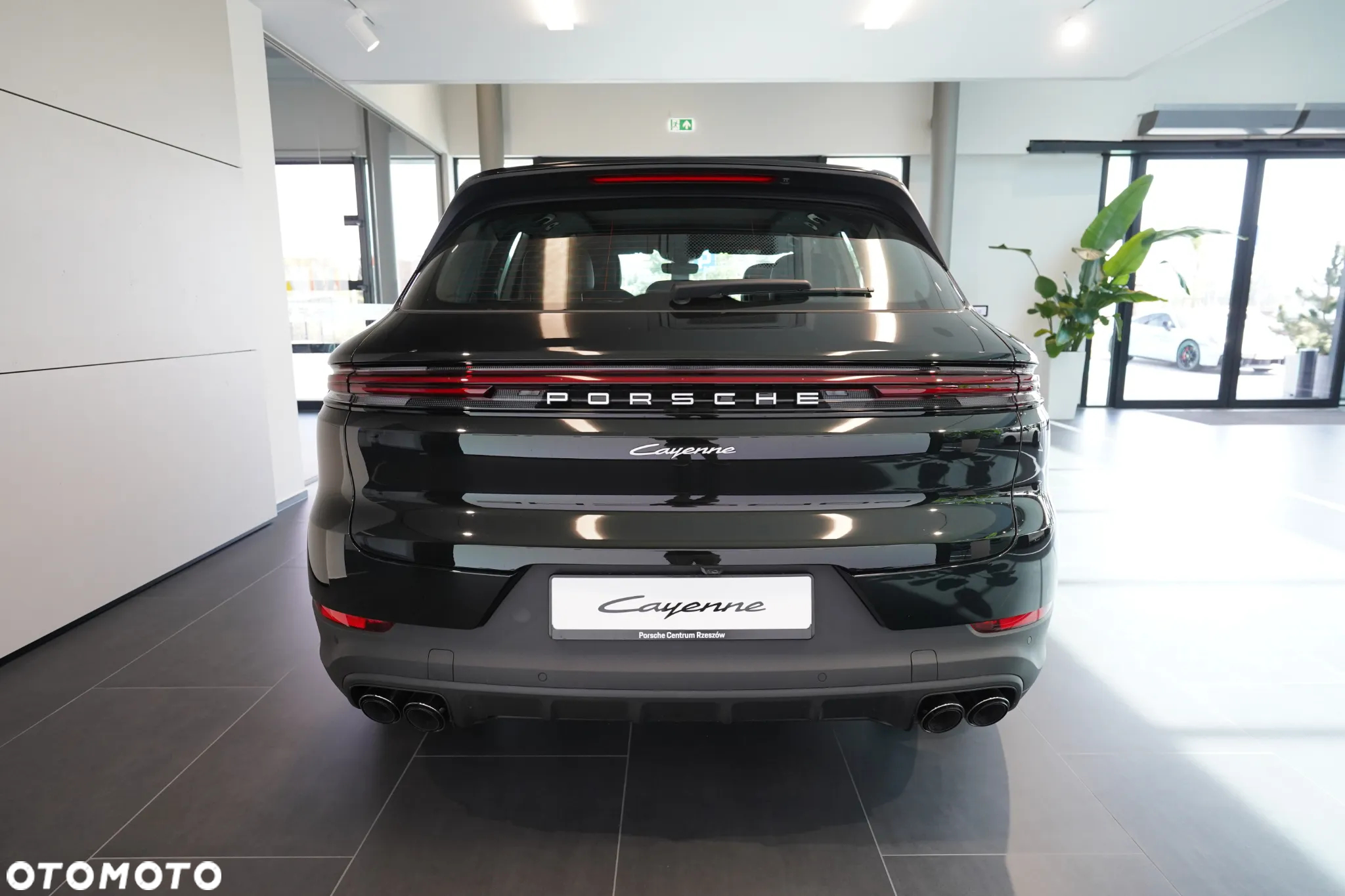 Porsche Cayenne E-Hybrid PHEV - 5