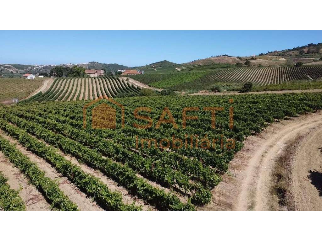 Terreno com PIP Aprovado para 6 Moradias | Turcifal, Torres Vedras - Grande imagem: 4/5