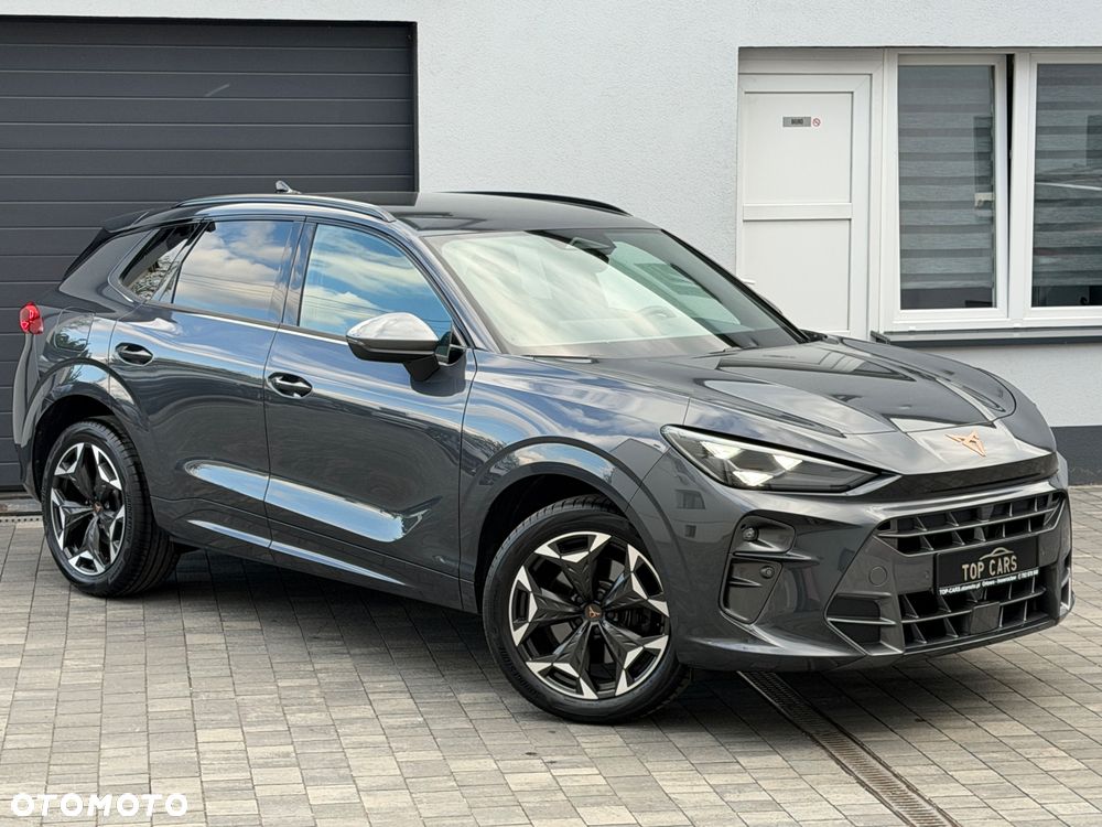 Cupra Terramar 2.0 TSI 4Drive DSG VZ - 14
