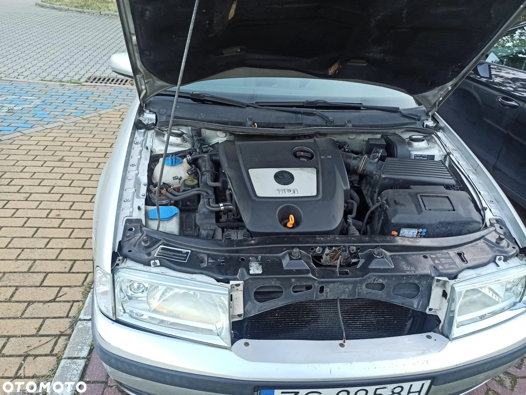 Skoda Octavia - 5