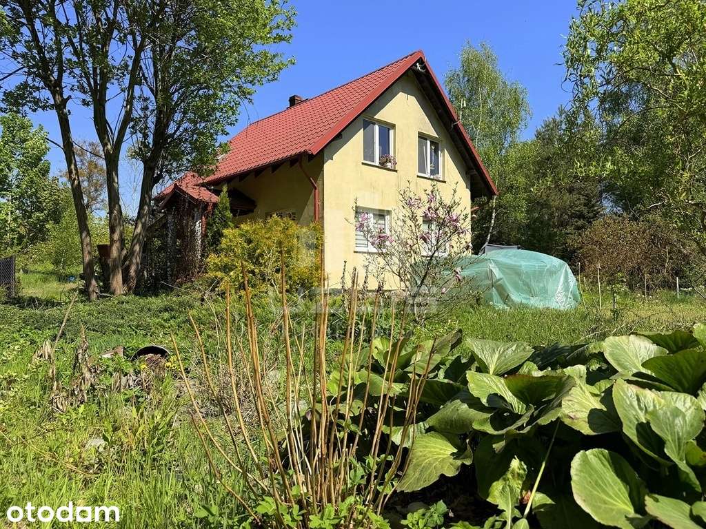 Dom przy lesie, 3 km od Starogardu Gdańskiego - Pełny obrazek: 5/20
